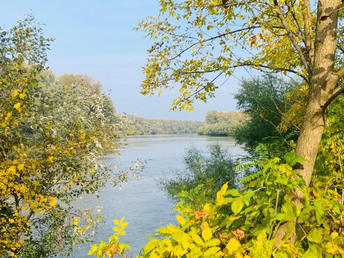 Barack Thermal & Natura Apartments Tiszakecske Bagian luar foto